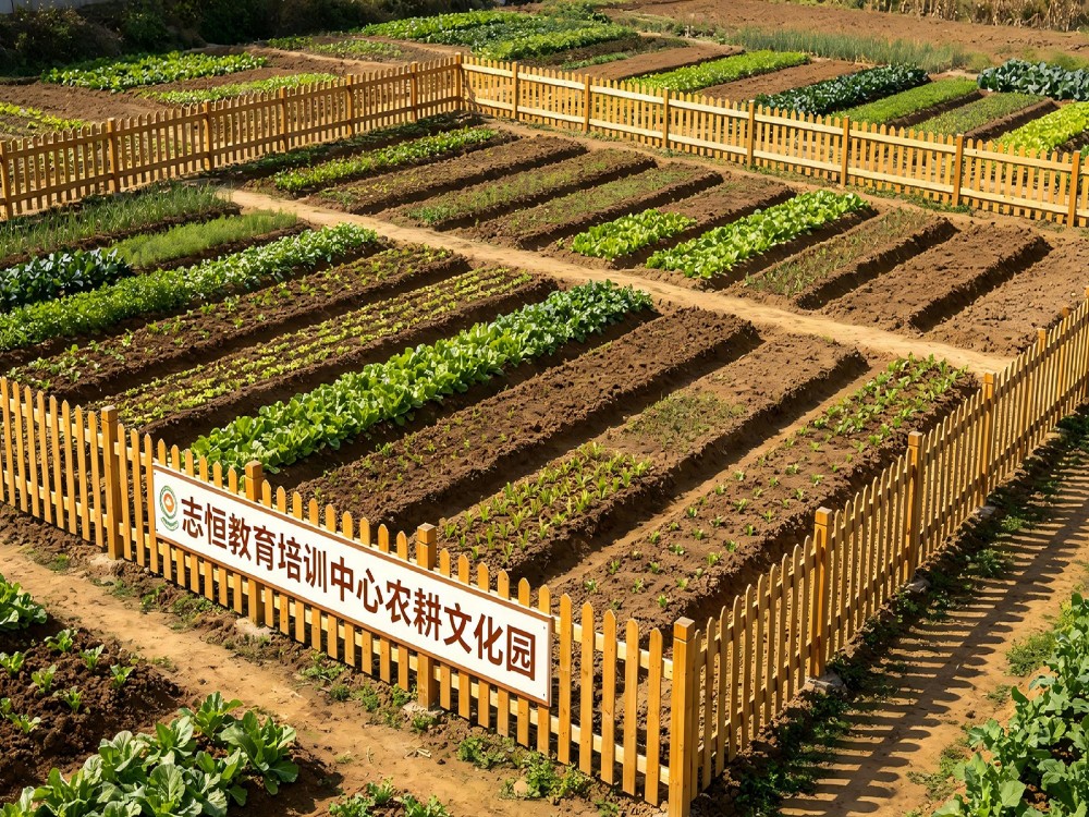 2026甄选茂名知名的全封闭教育学校有哪些